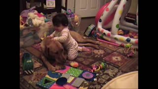 Toddler and Labrador