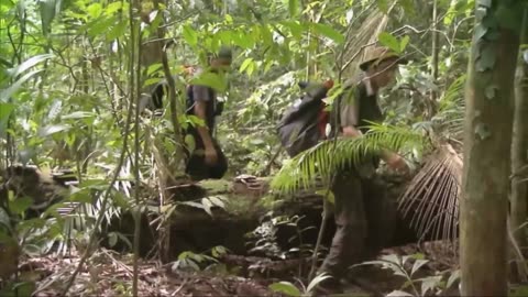 Discovering Guyana's Hidden Creatures: An Adventure Documentary