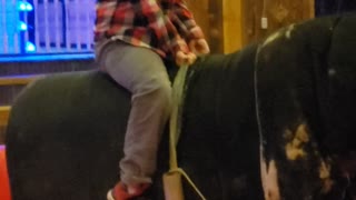 Mechanical bull