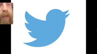 Secret Meaning of Twitter Logo
