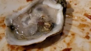 Living Crab in Oyster