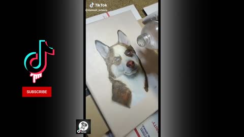 Funny Videos-Pets Cute Funny Dog Husky | Cute Dogs Videos | Animals Videos