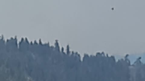 Two helicopters working on taking out the fire in west kelowna