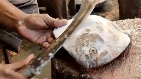 Amazing Cutter Man Cutting Big Black Pomfret fish In Fish Market || Fish Cutting Skills