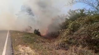 Incendio forestal en la Ruta 90