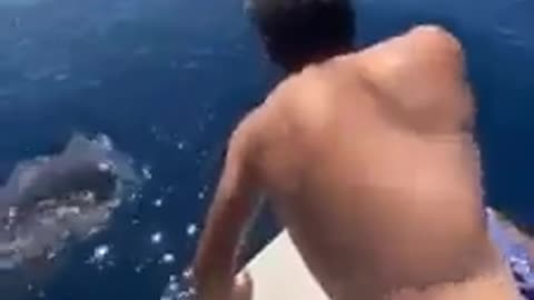 Un hombre montado en una gran ballena _ woow Cabalgó sobre una poderosa ballena