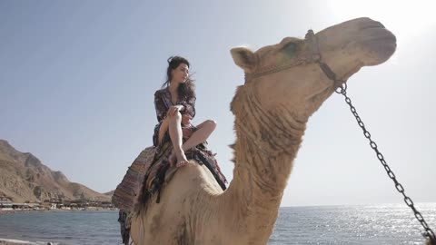 Happy asian woman riding on camel. Female tourist on a camel