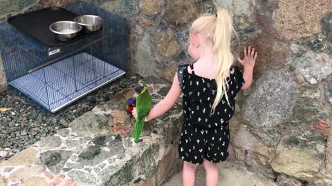Harp feeds her bird friend