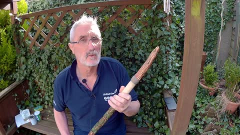 Woodland Themed Walking Stick Carving Part 3