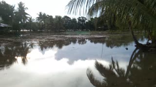 Amazing Fine and Calm Weather Caught