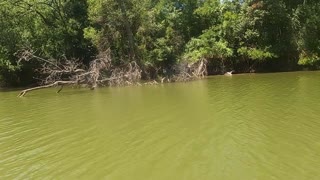 Bosque and Brazos River Trip