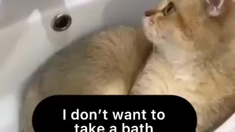 When I don’t want to take a bath