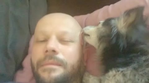 My Chihuahua Caressa giving me kisses!