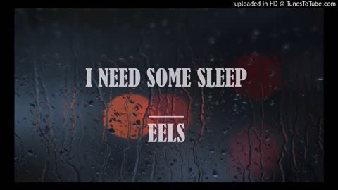 Eels - I Need Some Sleep Prod. Duagnir [Cover]