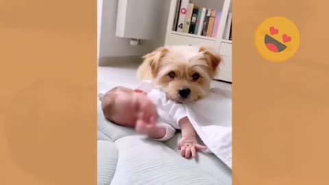 Baby Playing with Dog