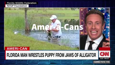 Florida Man saves puppy from alligator