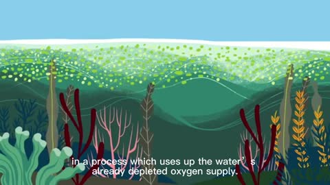 There are rare bodies of water that rely on natural eutrophication