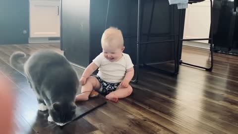 Babies and Kitten Playing,Baby Playing Funny with Cute Cat,Funny Cute Babies and Videos
