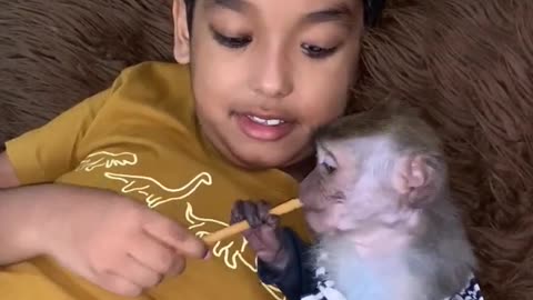 "Monkey See, Baby Do: Adorable and Funny Baby-Monkey Duo!"