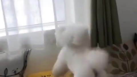 Funny dogs video baby