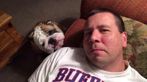 Sleepy Bulldog Wins Battle With Owner