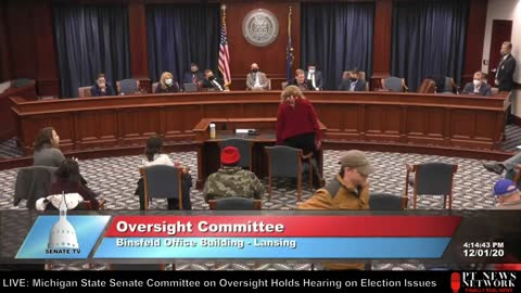 Dr. Linda Lee Tarver FULL testimony - Michigan State Senate Committee on Election Oversight