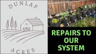 Hydroponic System Repairs & a Life Lesson About Chickens