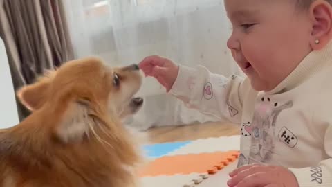 The friendship of a little princess and a dog