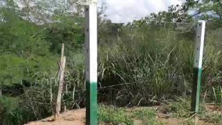 Se robaron la malla de protección debajo del puente de la Novena