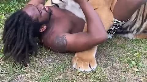 Tiger and Mowgli ,tiger as friend