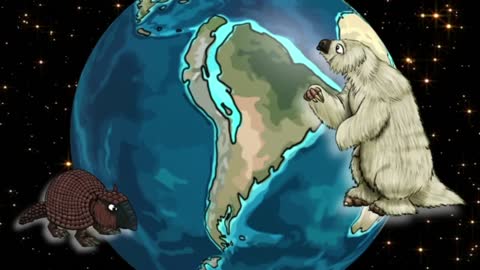 Animals from South America and North America crossed paths as plates collided