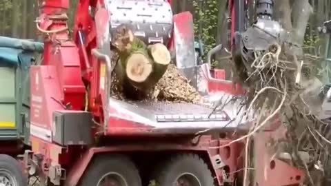 Amazing Wood Sawmill & Wood Chipper Machine