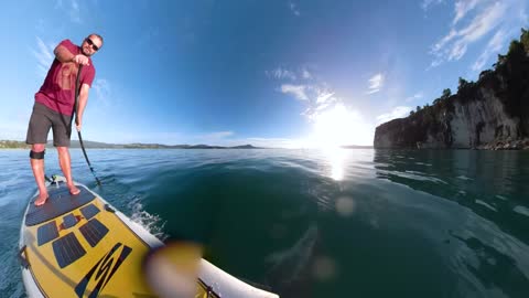 Paddling And Surfing With Dolphins