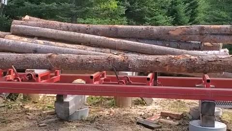 Sawmill Logs