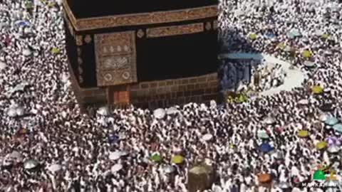Umrah is an incredible opportunity for visiting the holy lands of Madina and Makkah