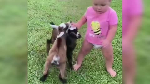 small children and baby goats
