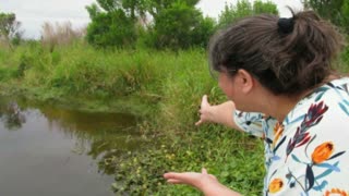 A Walk in the Wildlife Refuge