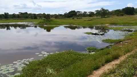 The poor man's dam at 12:30 pm