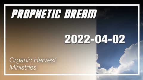 Prophetic Dream: A Bridge through Time and Lying Down with Dogs