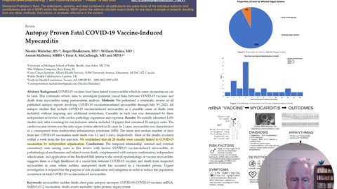 COVID-19 Vaccine Myocarditis Summary Dr. McCullough at Brazil Chamber of Deputies