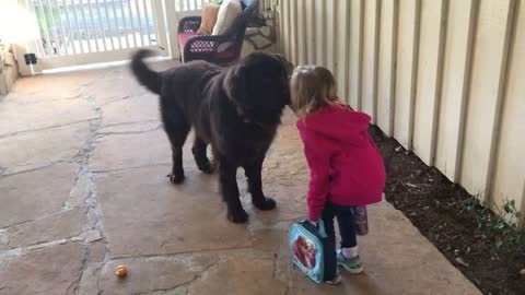 Mom Tells Her Little Girl To Say Goodbye To The Dog, Now Watch What They Do