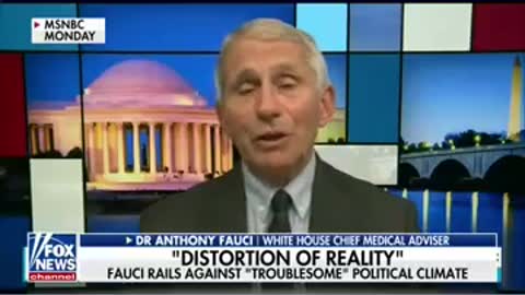 Dana Perino: Fauci making media rounds to defend himself #shorts