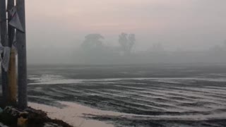 Foggy Morning in the Philippines