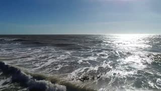 Moment Cute Penguins Released To Sea After Rescue