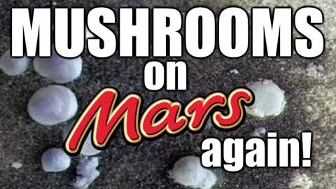 [CLIP] Mushrooms On Mars - Again ?