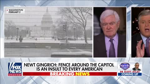 Gingrich slams Pelosi's Capitol wall: 'Insulting to every American'