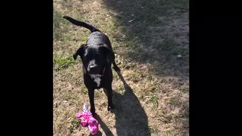 Best friend catching for the first time!