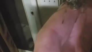 Man Eats Wolf Spider