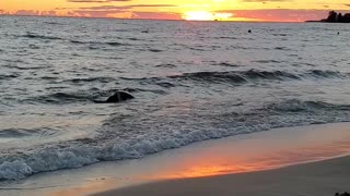 Georgian Bay - Awesome Sunset