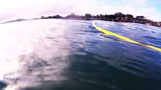 Spearfishing - Pacific Grove Rockfish - Monterey County